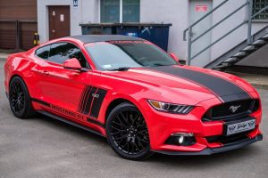 mustang 2338356 1280