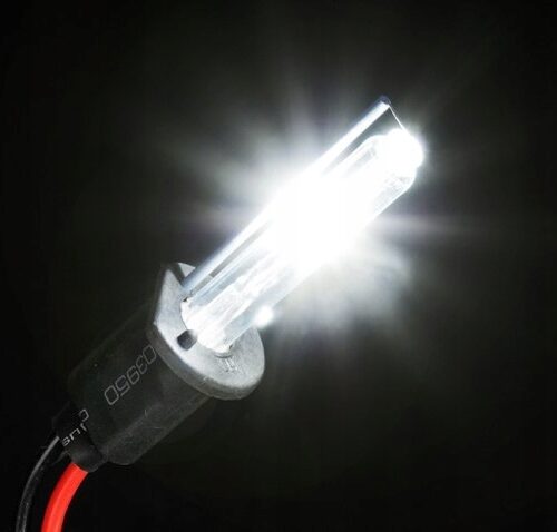 feher xenon izzo 2