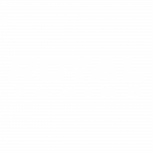 logotype RGB feher