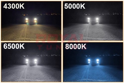 D4S xenon izzó 6000K Premium - Image 3